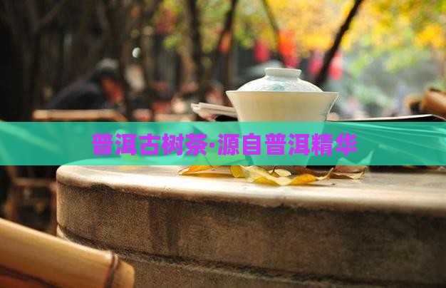 普洱古树茶·源自普洱精华