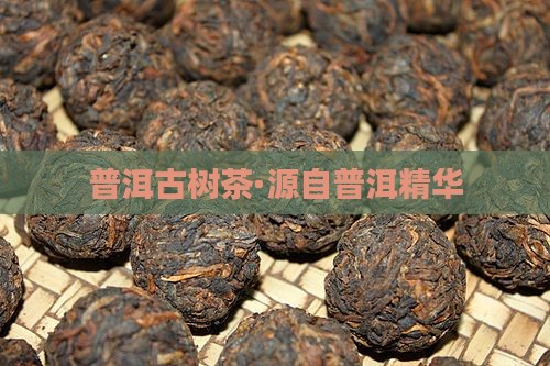 普洱古树茶·源自普洱精华