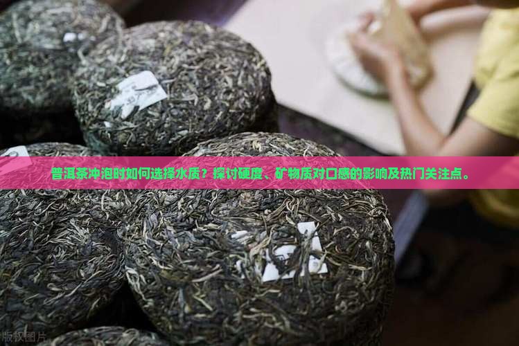 普洱茶冲泡时如何选择水质？探讨硬度、矿物质对口感的影响及热门关注点。