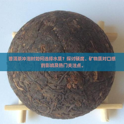 普洱茶冲泡时如何选择水质？探讨硬度、矿物质对口感的影响及热门关注点。