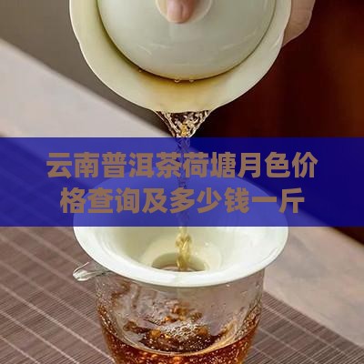 云南普洱茶荷塘月色价格查询及多少钱一斤