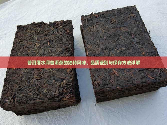 普洱落水洞普洱茶的独特风味、品质鉴别与保存方法详解
