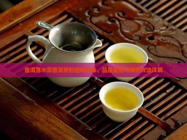 普洱落水洞普洱茶的独特风味、品质鉴别与保存方法详解