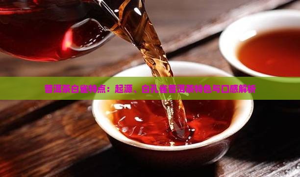 普洱茶白雀特点：起源、白孔雀普洱茶特色与口感解析
