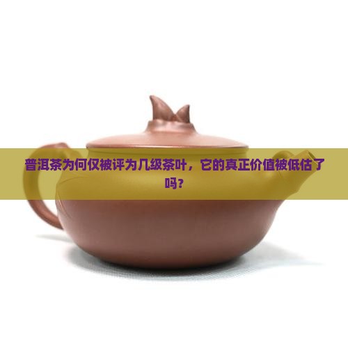 普洱茶为何仅被评为几级茶叶，它的真正价值被低估了吗？