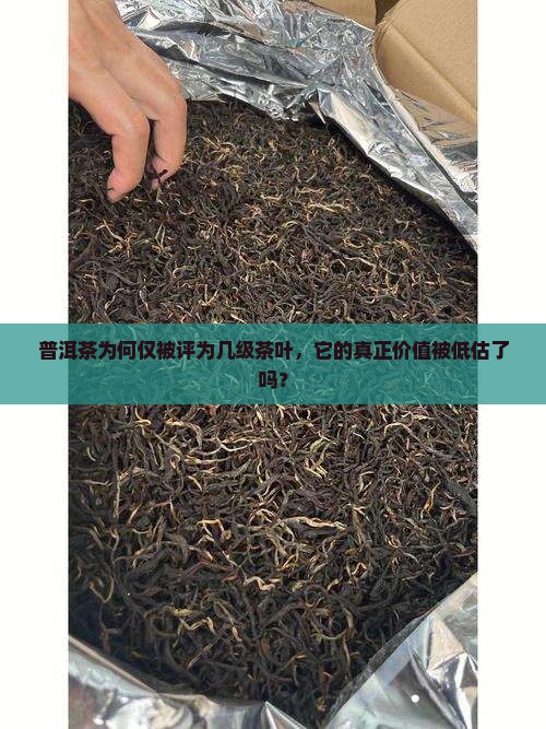 普洱茶为何仅被评为几级茶叶，它的真正价值被低估了吗？