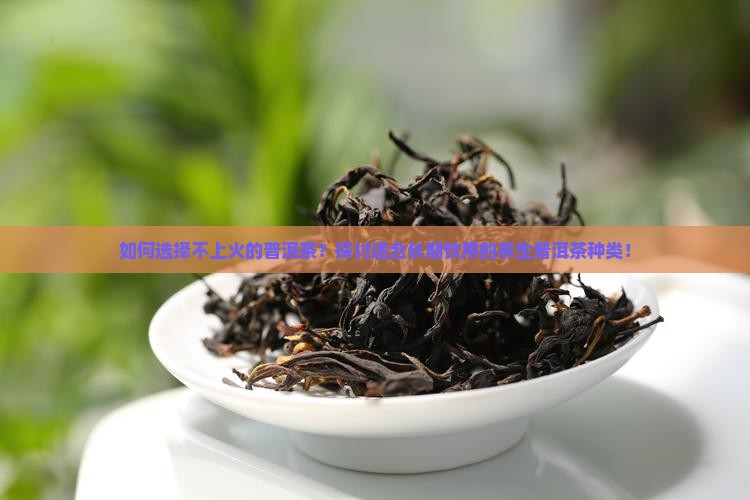 如何选择不上火的普洱茶？探讨适合长期饮用的养生普洱茶种类！