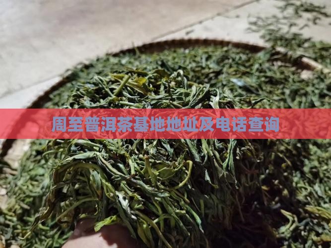 周至普洱茶基地地址及电话查询