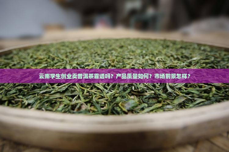 云南学生创业卖普洱茶靠谱吗？产品质量如何？市场前景怎样？