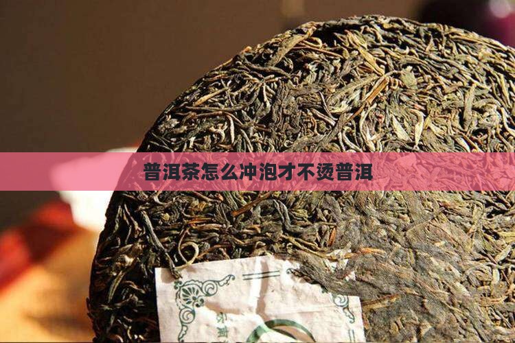 普洱茶怎么冲泡才不烫普洱