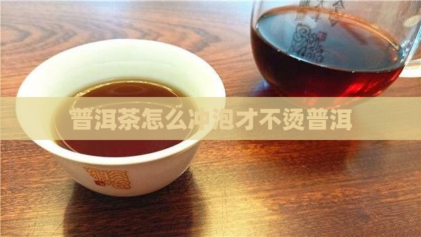 普洱茶怎么冲泡才不烫普洱