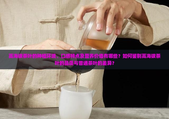高海拔茶叶的种植环境、口感特点及营养价值有哪些？如何鉴别高海拔茶叶的品质与普通茶叶的差异？
