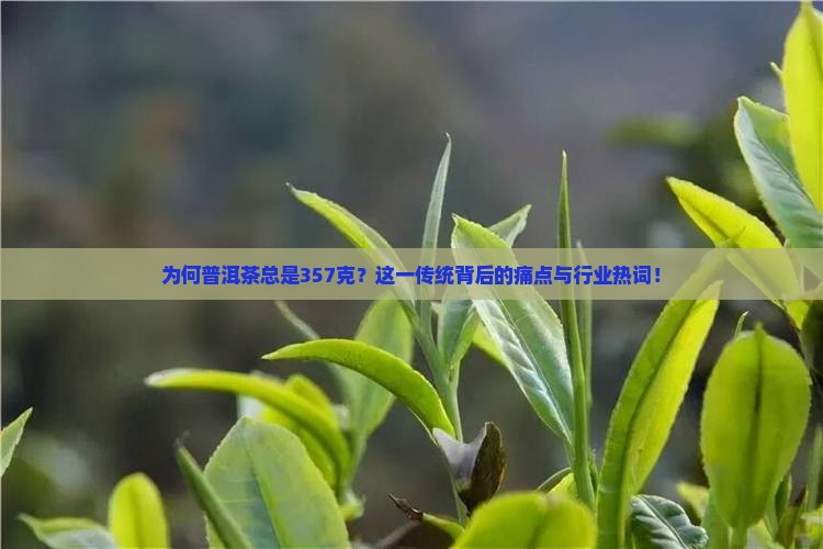 为何普洱茶总是357克？这一传统背后的痛点与行业热词！