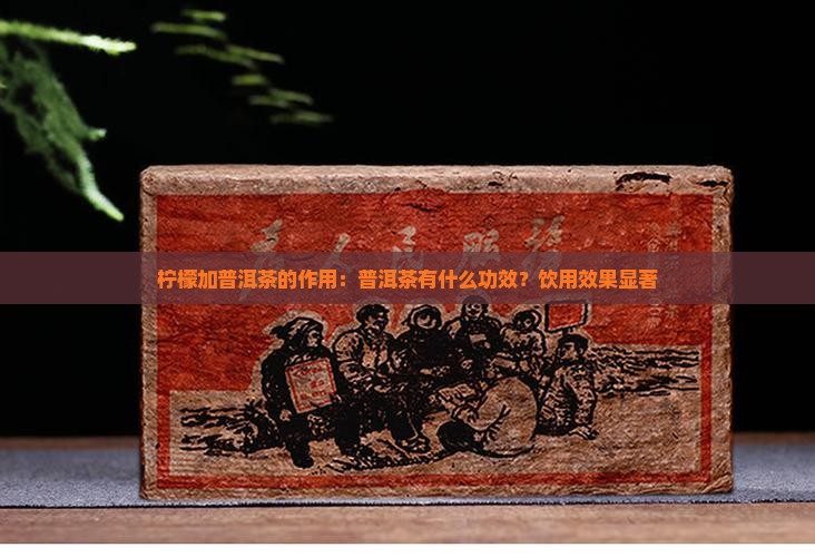 柠檬加普洱茶的作用：普洱茶有什么功效？饮用效果显著