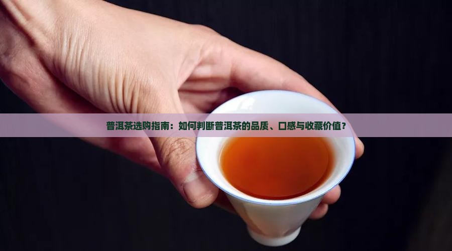 普洱茶选购指南：如何判断普洱茶的品质、口感与收藏价值？