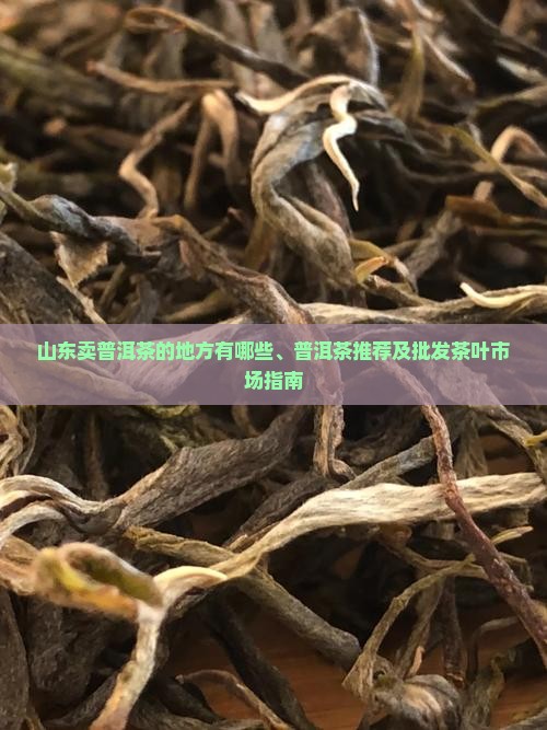 山东卖普洱茶的地方有哪些、普洱茶推荐及批发茶叶市场指南