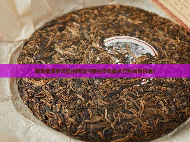 南京普洱茶代理招商如何抓住市场痛点与热词新机遇？
