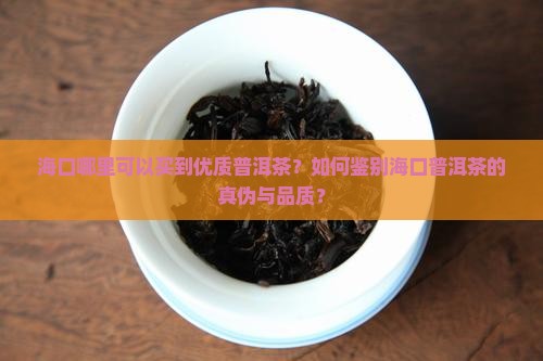 海口哪里可以买到优质普洱茶？如何鉴别海口普洱茶的真伪与品质？