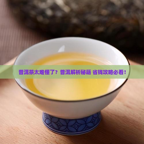 普洱茶太难懂了