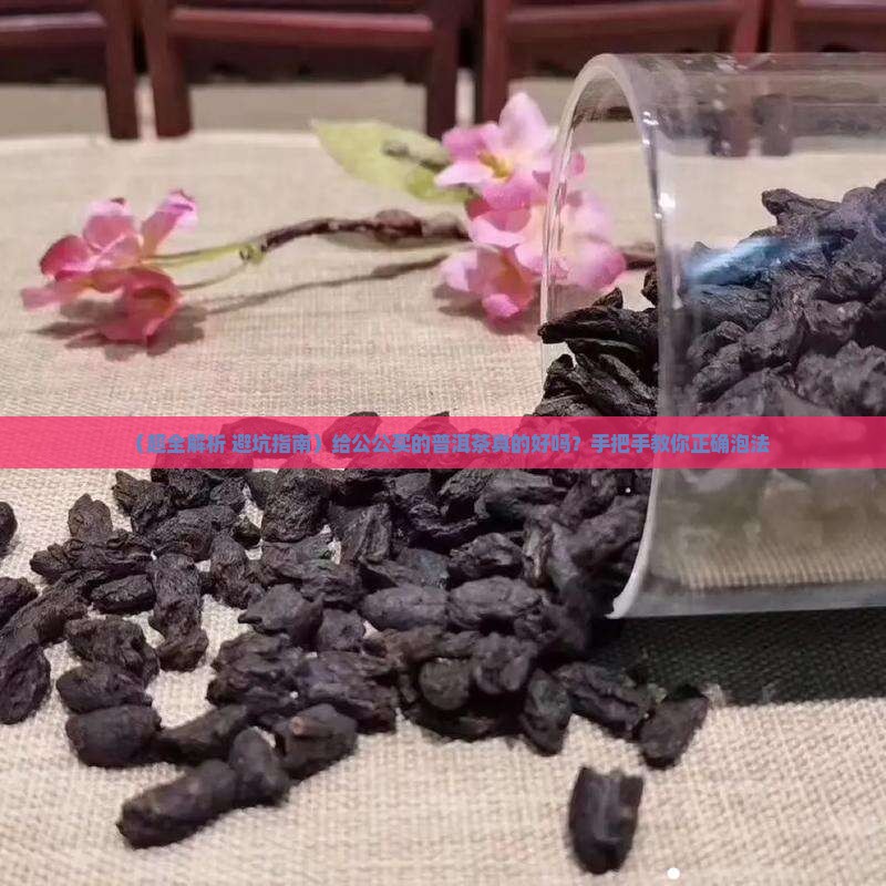 给公公买的普洱茶好吗怎么泡