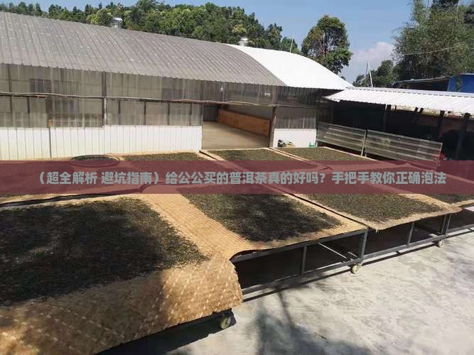 给公公买的普洱茶好吗怎么泡