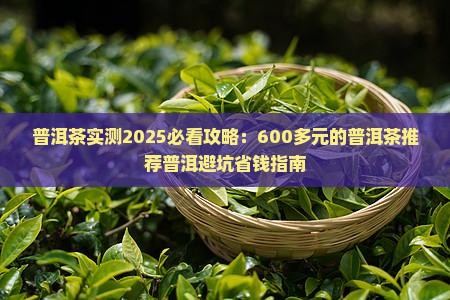 600多元的普洱茶