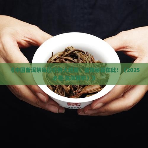 中国普洱茶每日价格