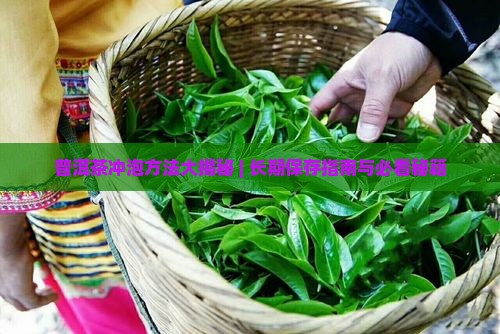 普洱茶怎么冲泡和保存时间长