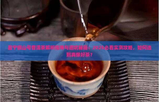 昌宁银山号普洱茶 昌宁银山号普洱茶
