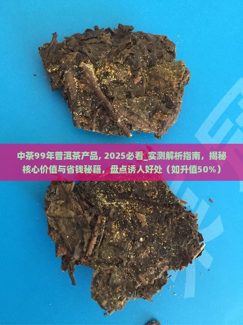 中茶99年普洱茶产品