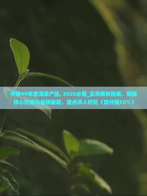 中茶99年普洱茶产品