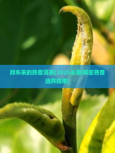 胖东来的熟普洱茶