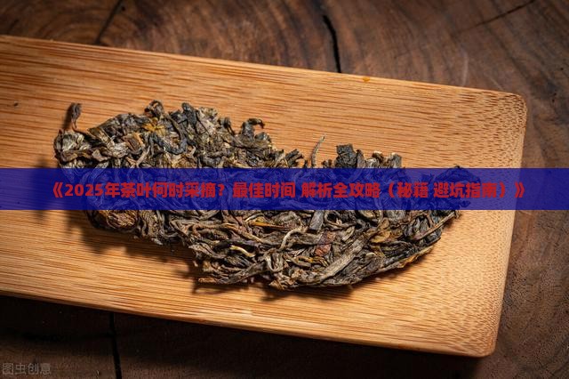 今年茶叶什么时候采摘