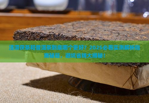 泾渭茯茶喝普洱茶的区别