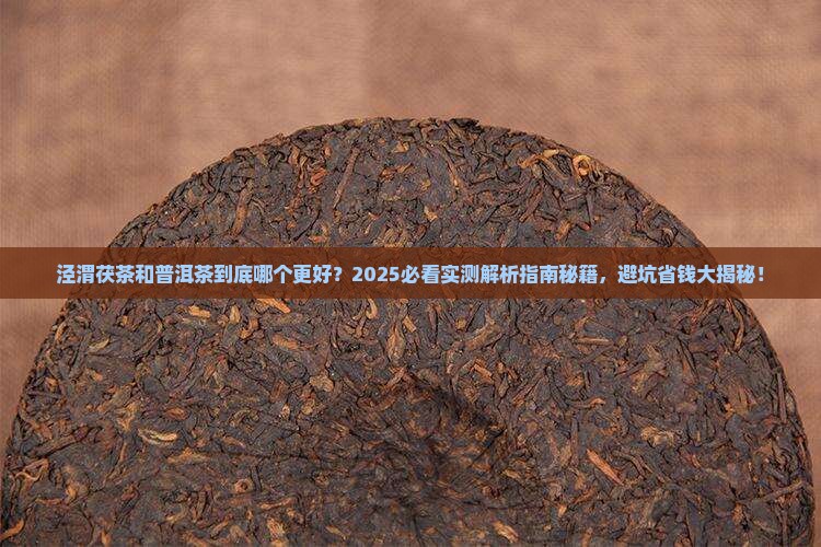 泾渭茯茶喝普洱茶的区别