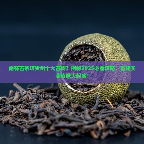 雨林古茶坊贵州十大古树