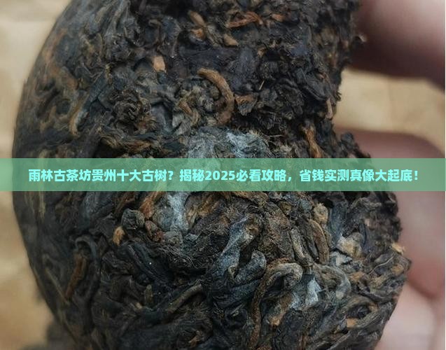 雨林古茶坊贵州十大古树