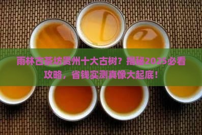 雨林古茶坊贵州十大古树
