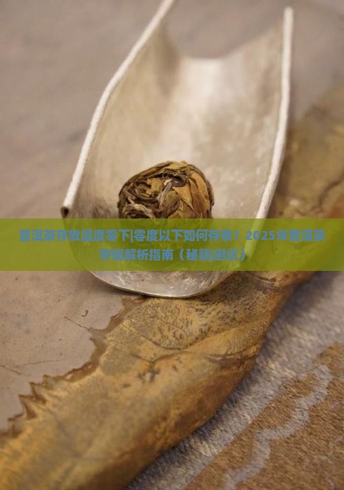 普洱茶存放温度零下