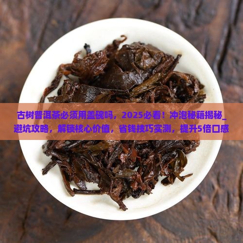 古树普洱茶必须用盖碗吗