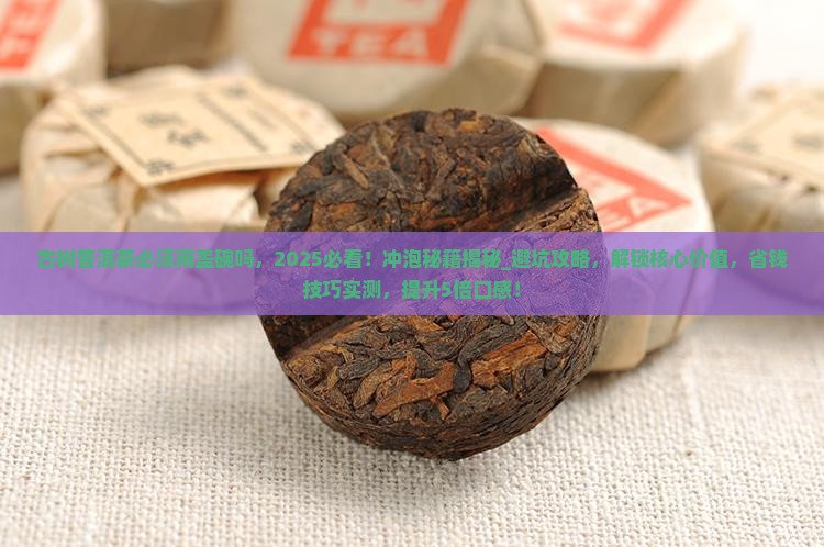 古树普洱茶必须用盖碗吗