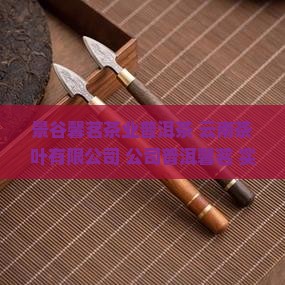 景谷馨茗茶业普洱茶