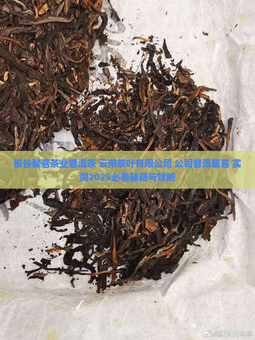 景谷馨茗茶业普洱茶
