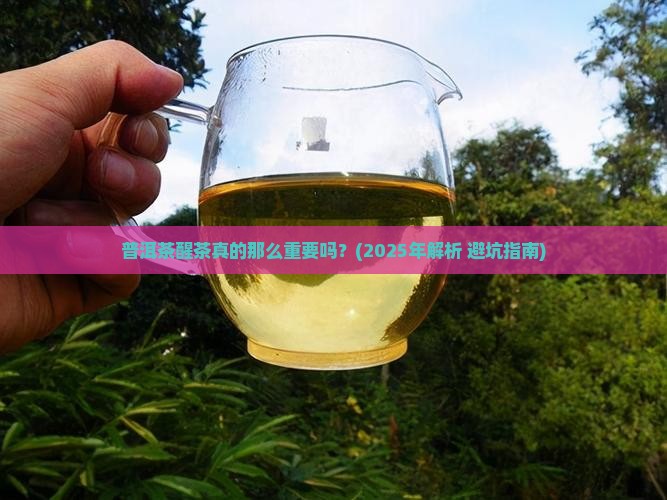 普洱茶醒茶非常重要