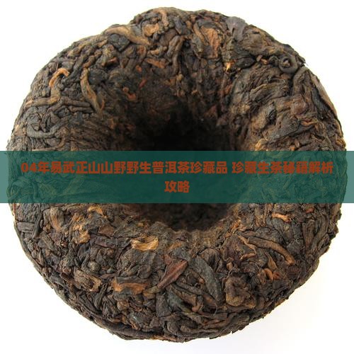 04年易武正山野生茶珍藏品