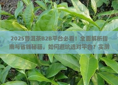 普洱茶b2b平台有哪些