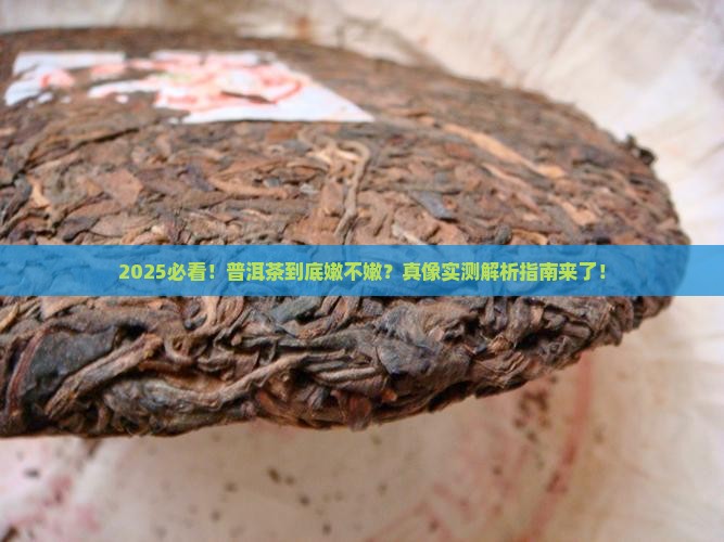 普洱茶持嫩性吗