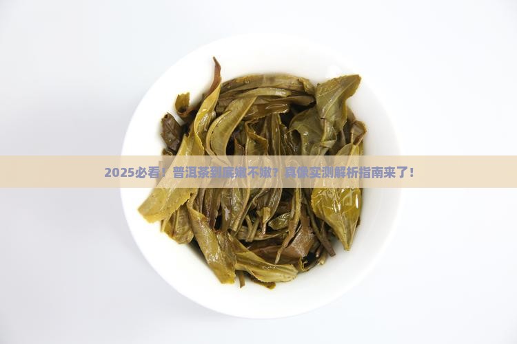 普洱茶持嫩性吗