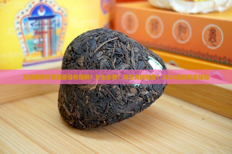 为啥喝荷叶普洱茶没有瘦啊