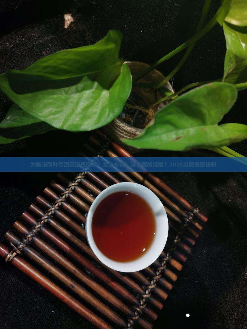 为啥喝荷叶普洱茶没有瘦啊